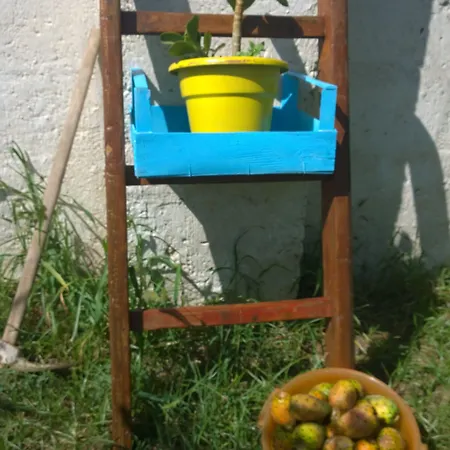 Romina 住宿加早餐酒店 4*