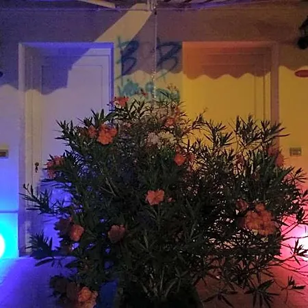 Romina Bed & Breakfast San Cataldo (Apulia)