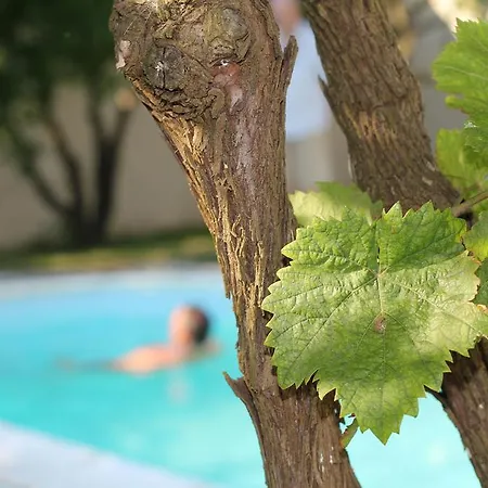 Romina Bed and Breakfast