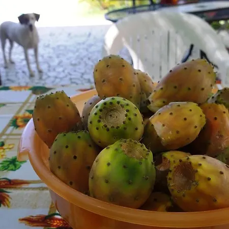 Romina 住宿加早餐酒店 圣卡塔尔多