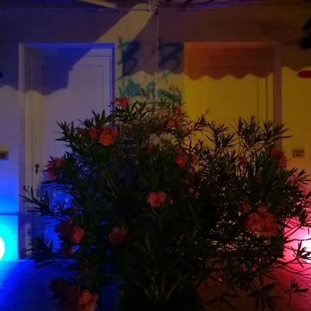 Romina Bed and Breakfast San Cataldo (Apulia)